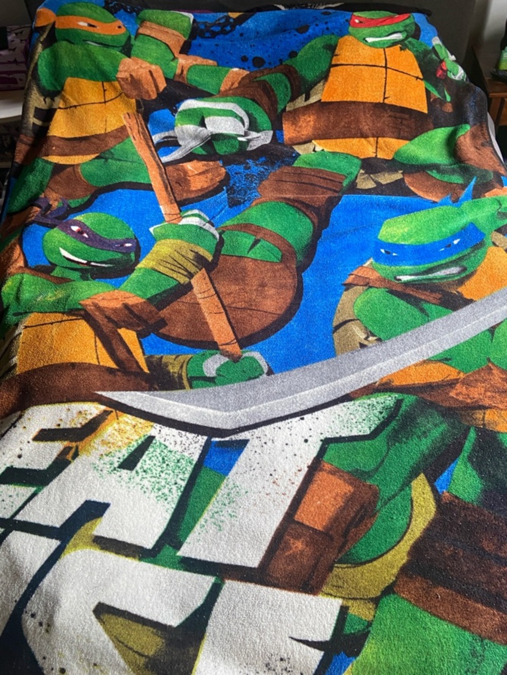 Teenage Mutant Ninja Turtles Twin Size Plush Blanket